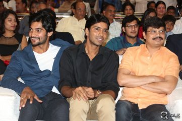 Rough Movie Audio Launch